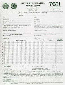pcci forms|Register Your Dog » PCCI .